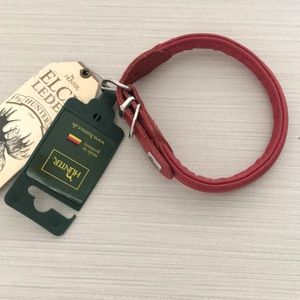 Hunter dog collar